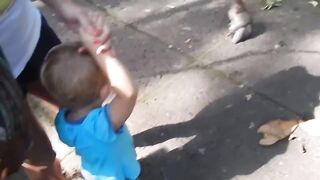 Laugh Funny Moments Monkey - Best Video Compilation Funny Monkey
