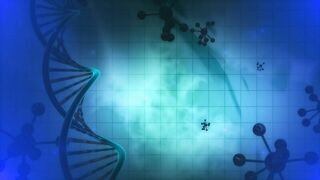 Introduction to DNA