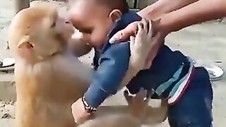 Human animal friendship