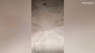 Tik Tok video