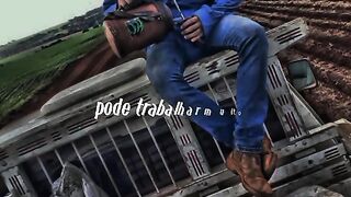 Motivaçaodiaria