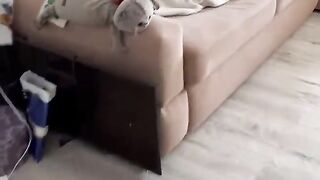 Береминой ксюшы