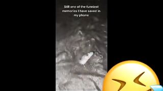 Funny tiktok meme