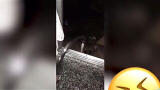 Funny tiktok meme