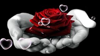 Shayari - Wo Khushboo bhi ❤️