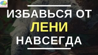 Нет оправданий.Самодисцыплина.