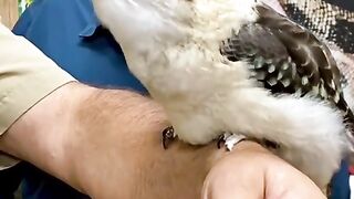 Скажите Как эта Прелесть Называется