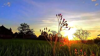 Glorious Morning Light