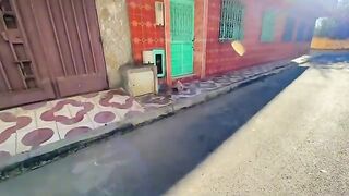 The fluffy cat is very cute and wants love, attention and delicious food.