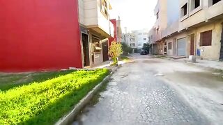 These three cute cats are always playful and want love and food.