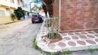 The cute calico cat is very happy to see us because she is sure she will get her usual meal.
