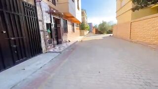 These cute cats do not like to get close, they are very shy and only want food.