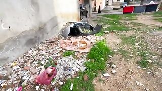 A stray cat with a cute face that loved to appear on camera.