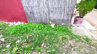 Two cute homeless cats are now happy to have love and delicious food.
