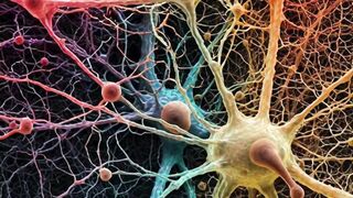 Neural networks: l'avenir du deep learning?