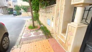 A cat sleeping on the grass is surprised by delicious food and some love.