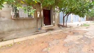 The cute cat just wants food and doesn't want anyone to carry it.