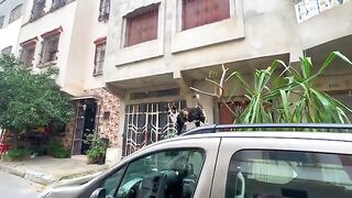 A very cute cat is lying on top of the car waiting for someone to give her love and delicious food.