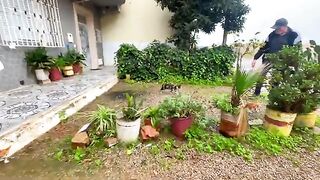 The cute cats gathered to meet Mr. Paul to say hello.