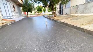 This friendly cat has won the hearts of all of us with her cuteness.