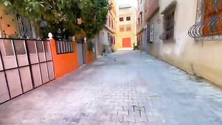 This cat received all the attention, love and food.