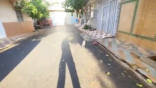 The cat came to us asking for food and love because she was left alone.