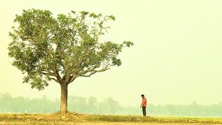 কি ভাবছো, হেরে গেছো, সবাই হাসছে তোমার উপর..!!????