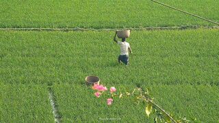 হারিয়ে যাওয়ার এই কোলাহলে,