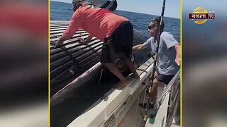 viral video