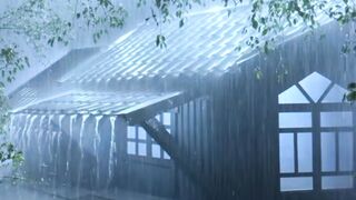 See more information