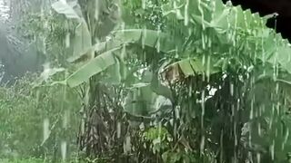 See more information