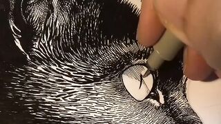 Gothic Whiskers: The Anatomy of a Giant Shadow