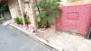 Feed the mother cat and her cute kittens after they wake up from their nap.