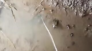 Fishing eel videos.. This is fishing eel videos.. Thanks for watching..!!