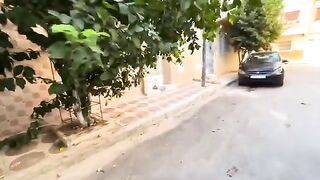 These cats that live in this neighborhood are cute, love each other, and always share food.
