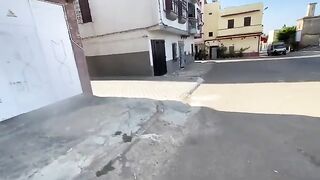 These cute cats go to the car because they know there is food inside.