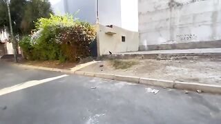 All cats come to get food, except the white cat, who wants love and food.