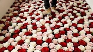 From empty room to rose epoxy dream ????