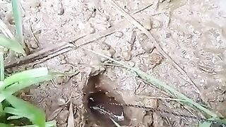 Fishing eel videos.. This is fishing eel videos.. Thanks for watching..!!