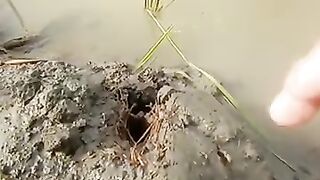 Fishing eel videos.. This is fishing eel videos.. Thanks for watching..!!