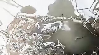 Fishing eel videos .. This is fishing eel videos.. Thanks for watching..!!