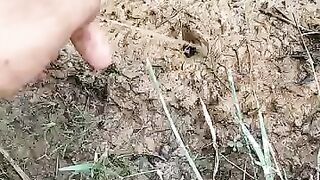 Fishing eel videos .. This is fishing eel videos.. Thanks for watching..!!