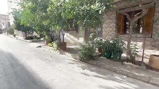Mama cat and her shy kitten enjoy delicious food.