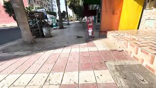 This stray cat took my heart with his kindness. I gave him all the love and delicious food.
