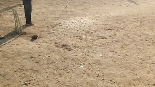 Epic Local Cricket Match | Last Over Thriller