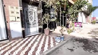 We played and the family fed the cute kittens so they would be happy.