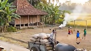 Suasana sore didesa yang slalu dirindukan♥️