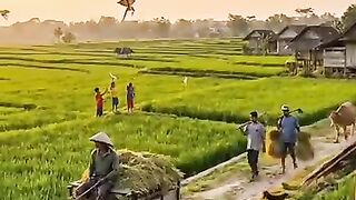Saat kecil ingin cepat besar dan merantau, setelah dewasa baru sadar bahwa desa adalah surga yang pernah kita anggap biasa????