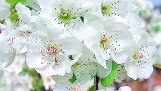 Scenery of beautiful