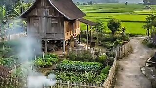 Suasana Sore yang Damai♥️
